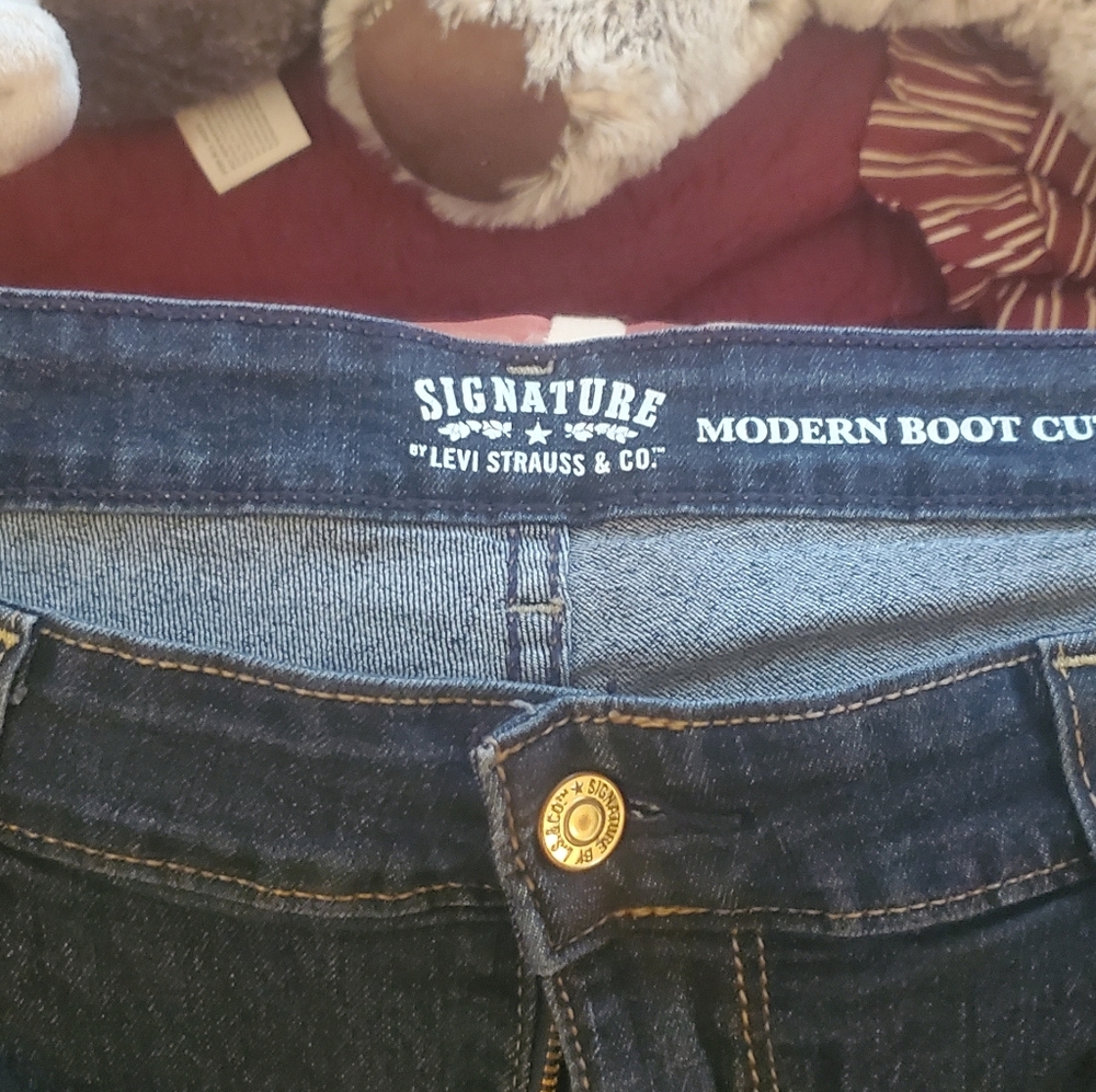 Levi Signature Jeans